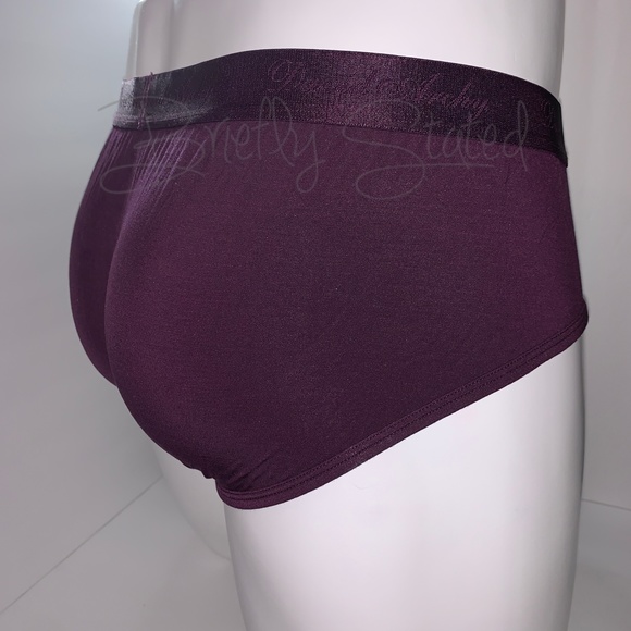 David Archy Micro Modal Briefs - Wine (L) - Picture 3 of 7